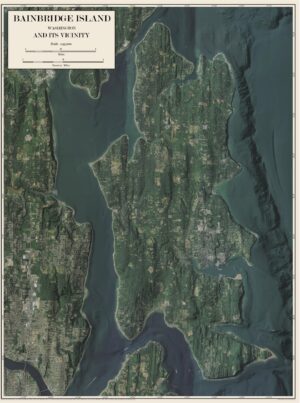 Bainbridge Island, Washington LIDAR Map (DRAFT)